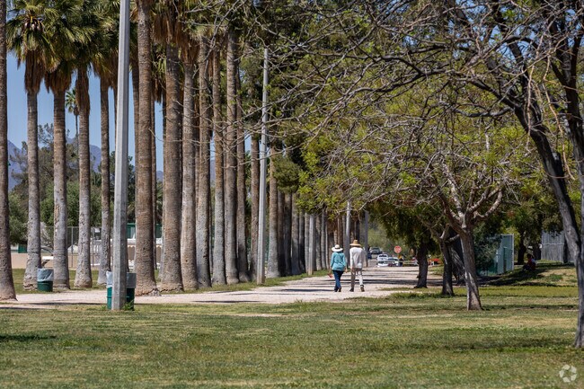Himmel Park is known for it's giant row of palm trees.