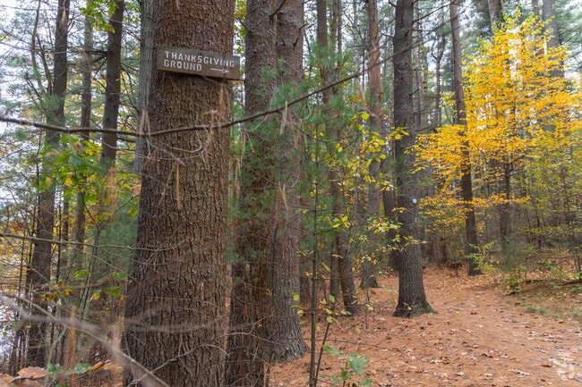 You will find plenty of hiking trails in Thanksgiving Ground Forest, Old Stage Estates.