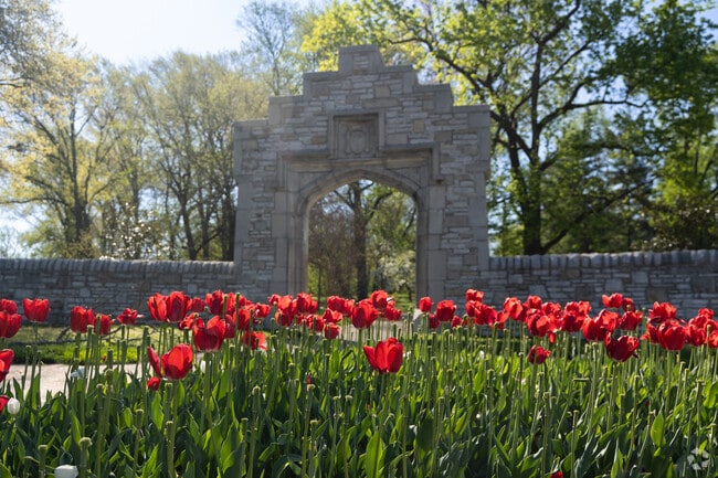 Tower Grove Park has many tulip beds through out the park.