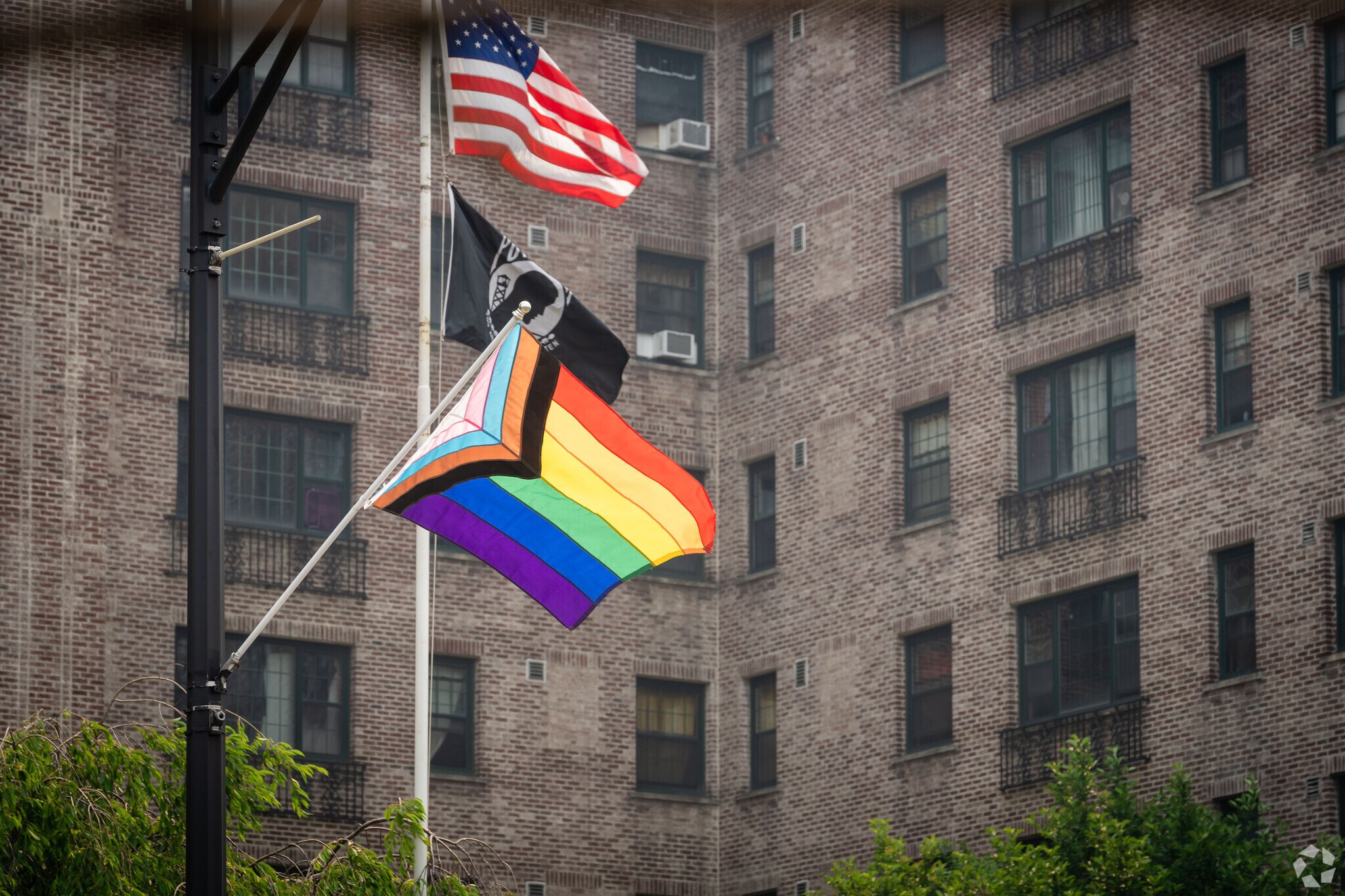 During June, the annual pride parade goes right through the heart of Elmwood Bryant.