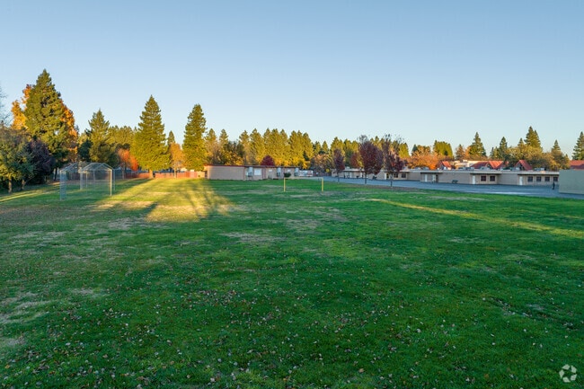 The green grass field gives space for students at Matsuyama Elementary School to exercise.