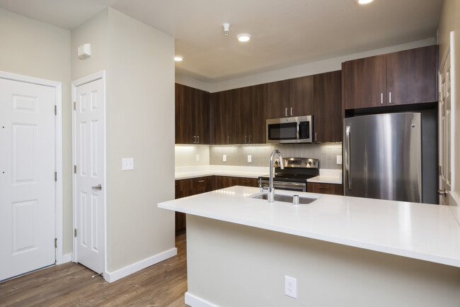 Premier Collection Kitchen with Quartz Countertops Walnut Cabinetry and Stainless Appliances