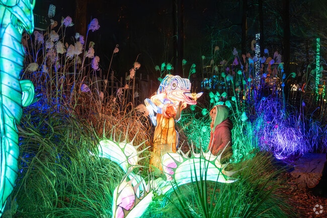 Let your little ones be amazed at Glow Wild in Redmont Park.