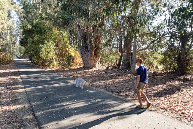Walk to and from Stanly Ranch on the San Francisco Bay Trail.