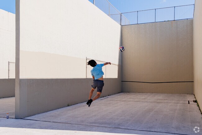 Royal Palm Estates resident gets a high shot during his solo volleyball practice.