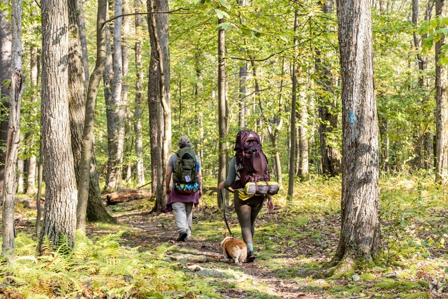 Hikers enjoy the natural beauty of the Laurel Highlands near Upper Yoder.