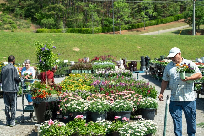 Find a new plant at Andy's Farm Market & Garden Center in Hoover.