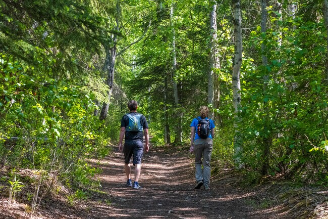 Countless trails and outdoor adventures await NE Anchorage residents.