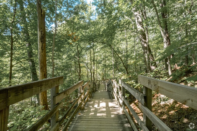 Take a walk on The Gorge bridge in North Hill, Akron, OH.