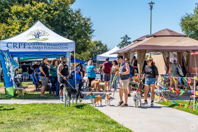 Your dogs will have a lot of fun at Barktoberfest.
