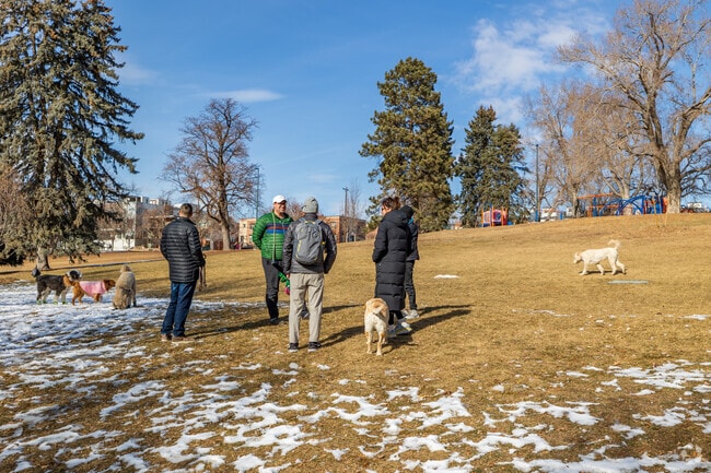 Jefferson Park is a tight knit commuity where local dog owners meet at the park daily.