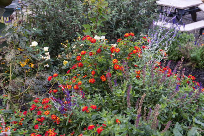 Minutes from the Armstrong neighborhood you can get all of your plants at The Potting Bench.