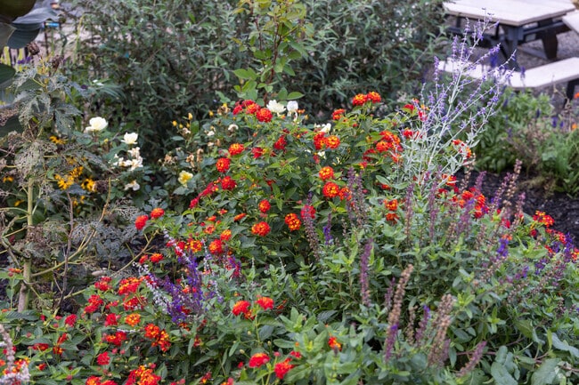 Minutes from the Armstrong neighborhood you can get all of your plants at The Potting Bench.