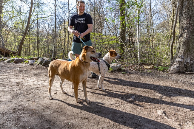 Dogs can play at the Mukwonago Dog Exercise Park near North Prairie.