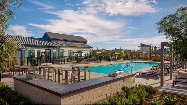 Swimming pool amenity