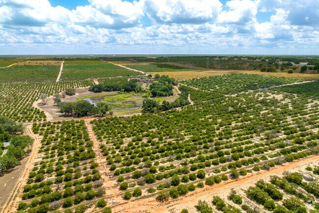 Rolling Citrus groves are still found in and around Lake Wales.