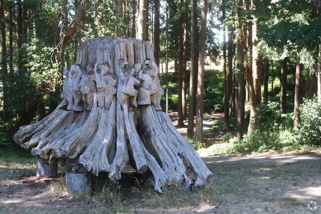 Dottie Harper Park features unique trees in the Downtown Burien neighborhood.