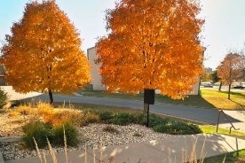 The Oaks Apartments, Sioux Falls, SD 57106 - photo 1