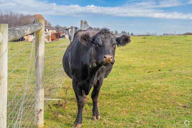 Farming is a way of life in Washington Township-Armstrong.