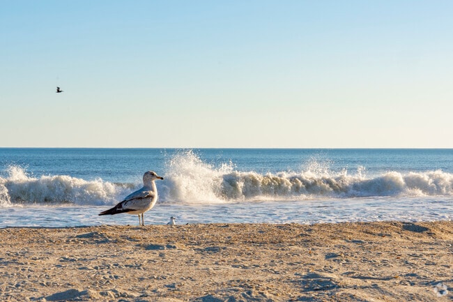 The beautiful beaches and ocean landscapes are just a few minutes drive for Havelock Residents.