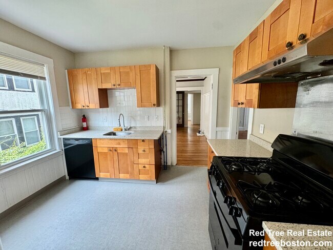 29 Boulevard Terrace unit 1, Allston, MA 02134 - photo 3