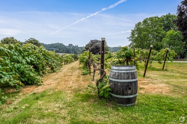 Cottage Lake locals can enjoy walking around the vineyards at Chateau Ste. Micelle nearby.