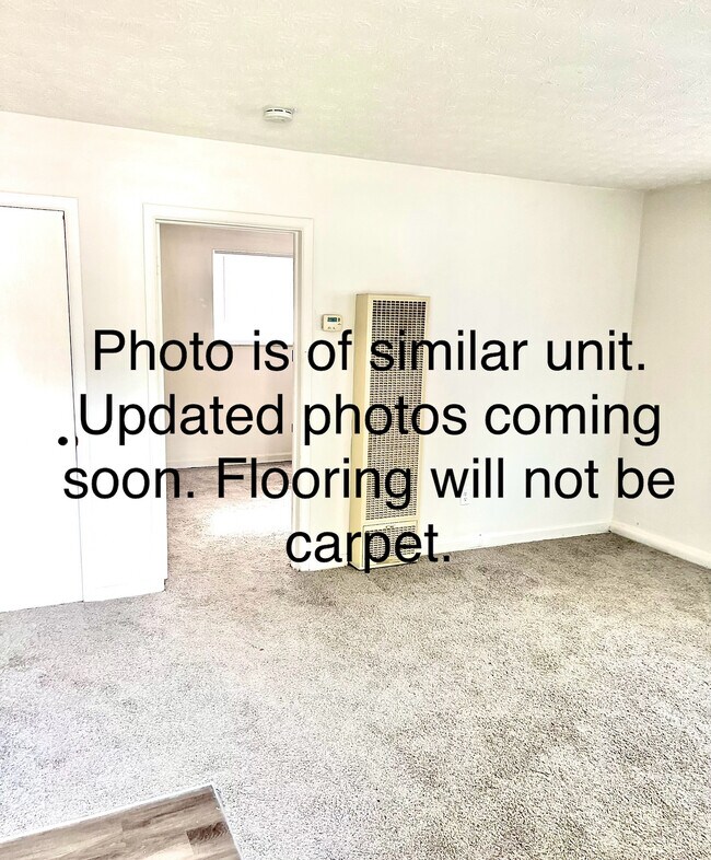 Living room. Will not have carpet.