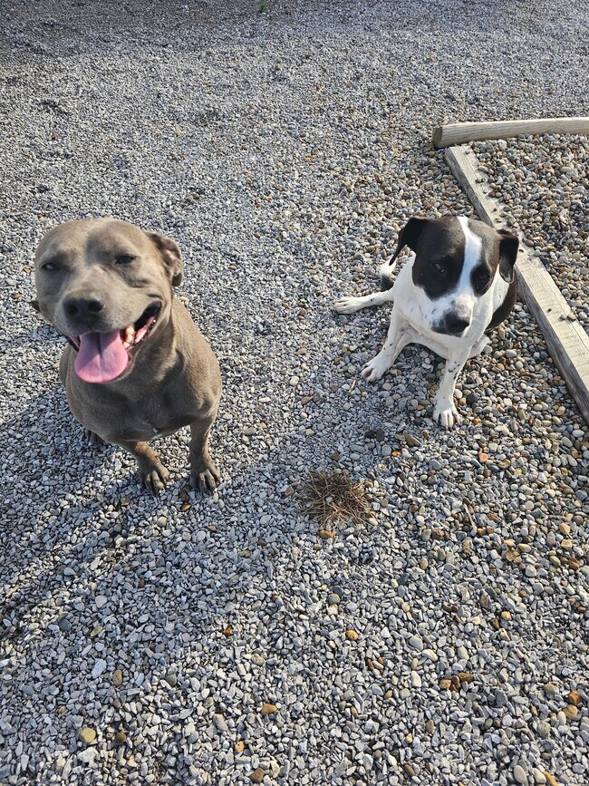 127 E Park Ave unit A, Gallatin, TN 37066 - photo 2