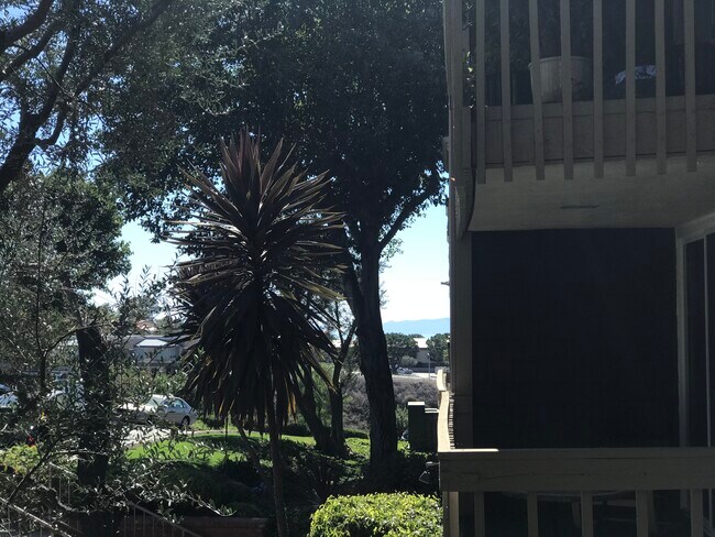 Peek a boo Catalina view