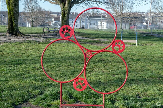 Jose Silva Dog Park in Oak Grove Village is a fun and easy spot for dogs and their owners.