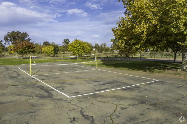 Elverta Elementary School has a volleyball court.