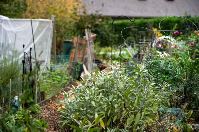 Individual plots are available for rent each season at the Ohde Avenue Pea Patch in Everest.