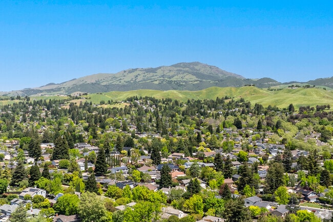Mt Diablo can be seen in the distance with Greenbrook nestled into the landscape below.