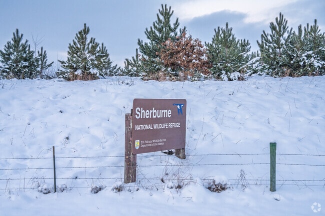 Sherburne National Wildlife Refuge is a Minnesota treasure protecting vital wetland and forest habitats for diverse populations of wildlife.