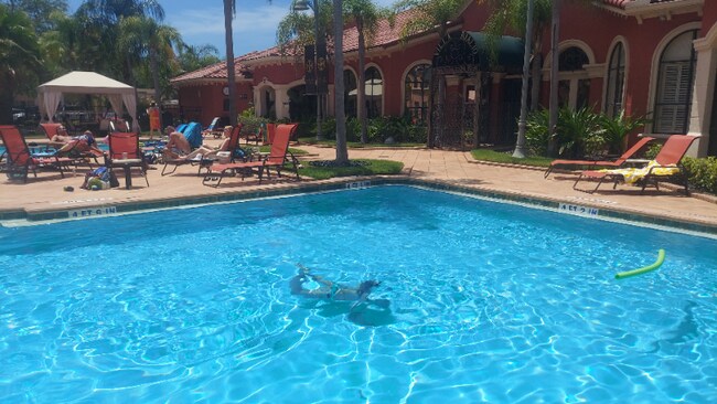 2747 Via Capri unit 1131, Clearwater, FL 33764 - photo 4