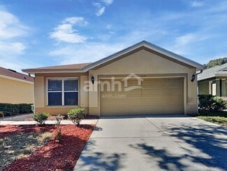 11347 Cocoa Beach Dr, Riverview, FL 33569