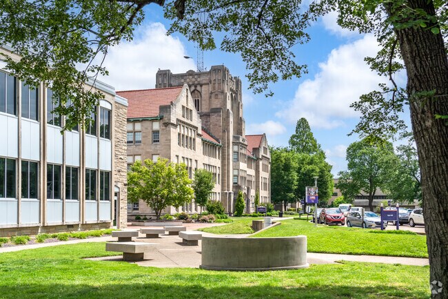 The University of Evansville by Rosedale South has 75 different undergraduate programs.
