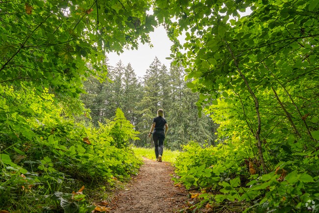 Bull Mountain Park offers 10 acres of wooded hiking trails in the heart of West Tigard.