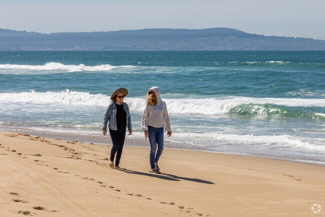 Enjoy the serene surroundings at Marina State Beach in Marina.