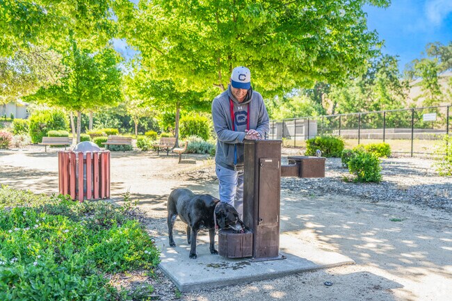 A man gives his dog a drink of water after a warm morning walk at Sycamore Valley Open Space.