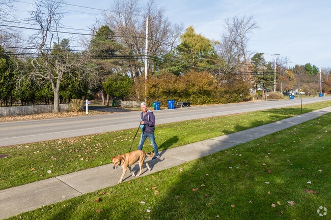 A man walks his dog in the morning in Clarence, New York.