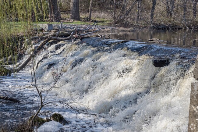 The Assonet River runs through the heart of the Assonet neighborhood.