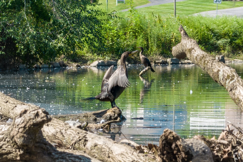 1008613_Woodlawn_092525_al_v2