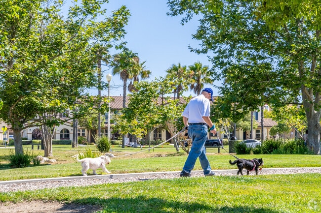 Locals love how dog friendly the Town Center neighborhood is.