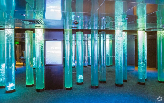 Graceland Park residents can spend the day at the nearby National Aquarium.