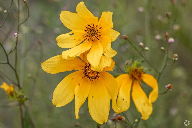 Beautiful flowers greet visitors and locals alike at the entrance of Patton Village.