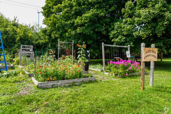 Martin Drive community gardens & pavilion.