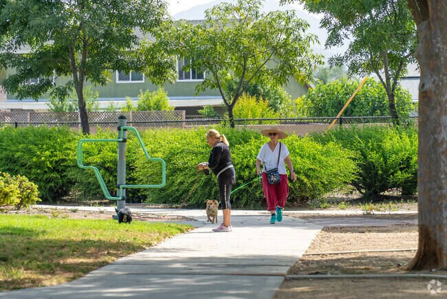 Enjoy a peaceful dog walk at E. L. Pete Petersen Park in Quail Valley.