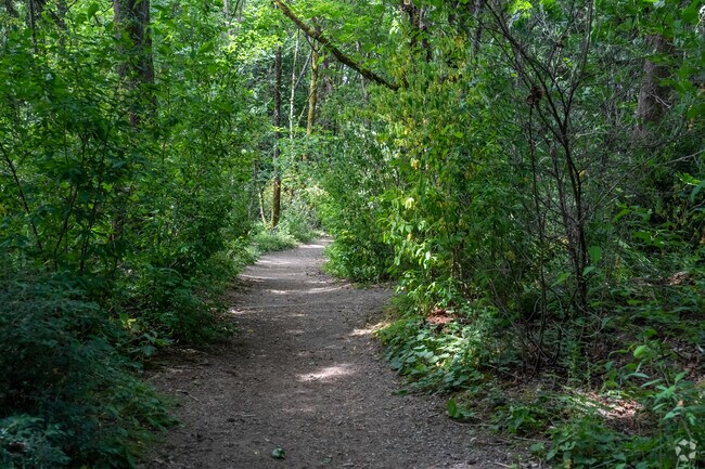 Central Houghton's own Watershed Park is full of greenery.
