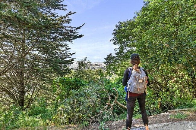 Buena Vista Park's hiker enjoying the scenic view.